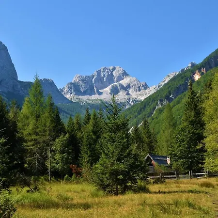 Cassa Midas By The Forest * Zgornje Jezersko
