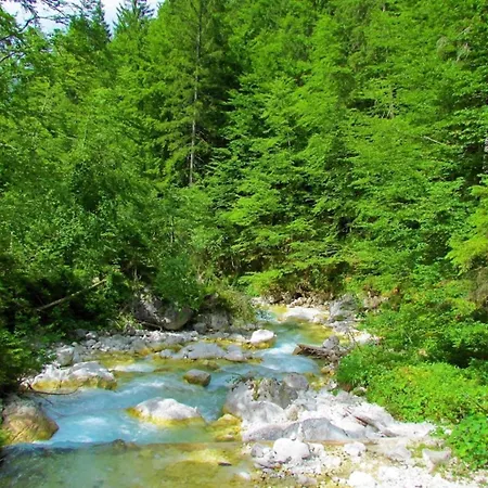 Apartamento Cassa Midas By The Forest Zgornje Jezersko
